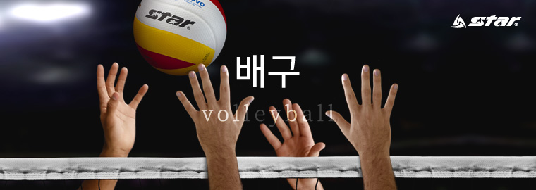 topimg_volleyball_164424.jpg
