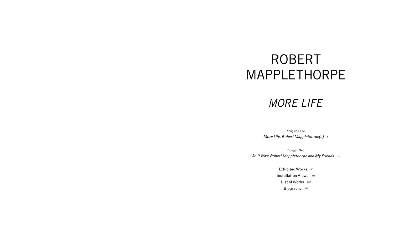 RobertMapplethorpe-1_164813.jpg