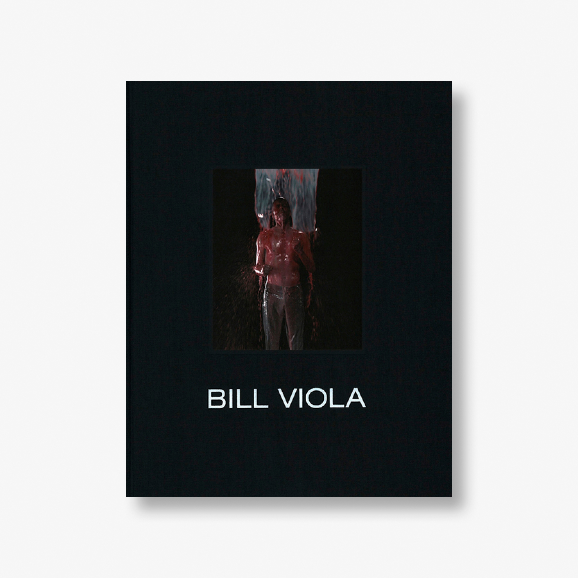 Bill Viola 2015