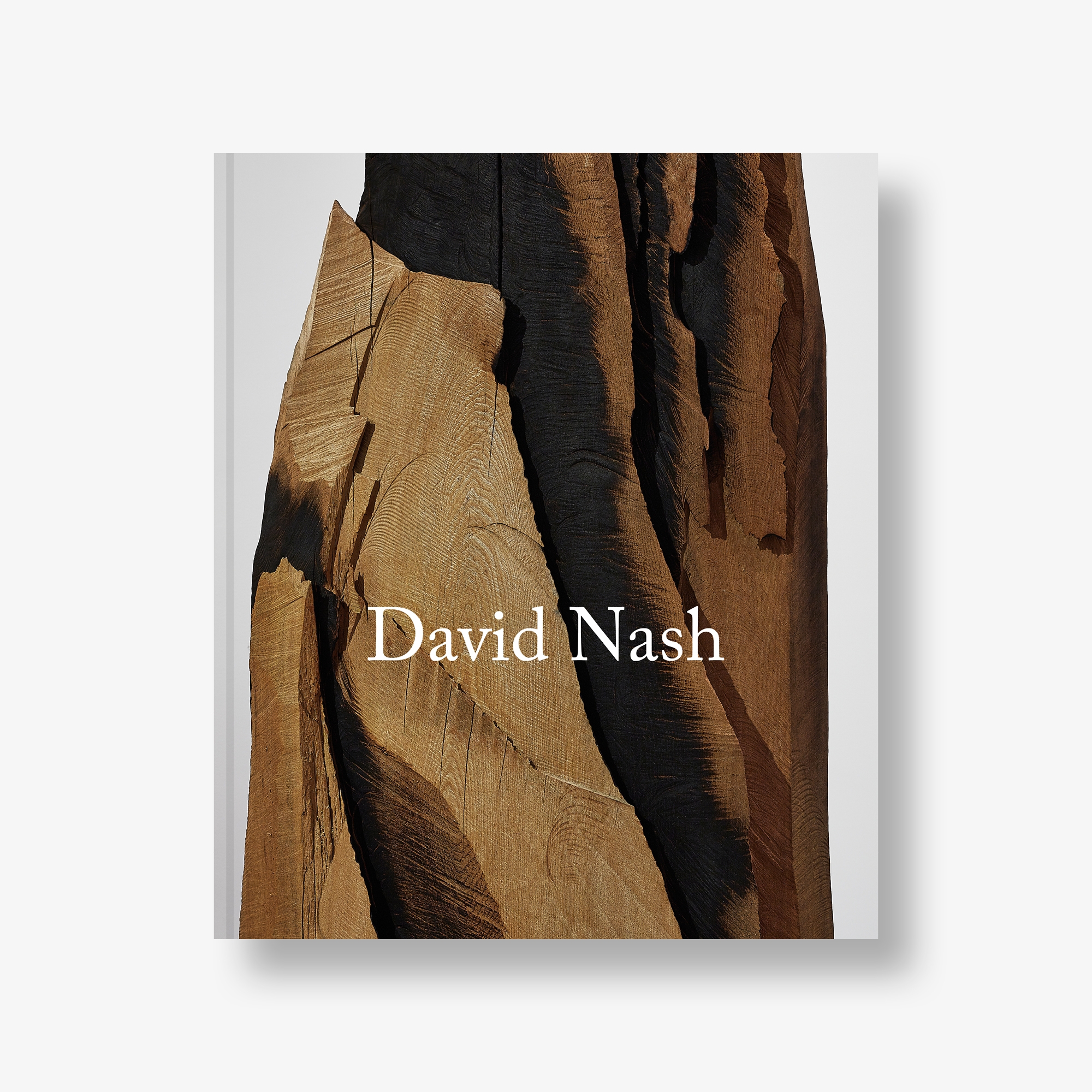 David Nash 2014