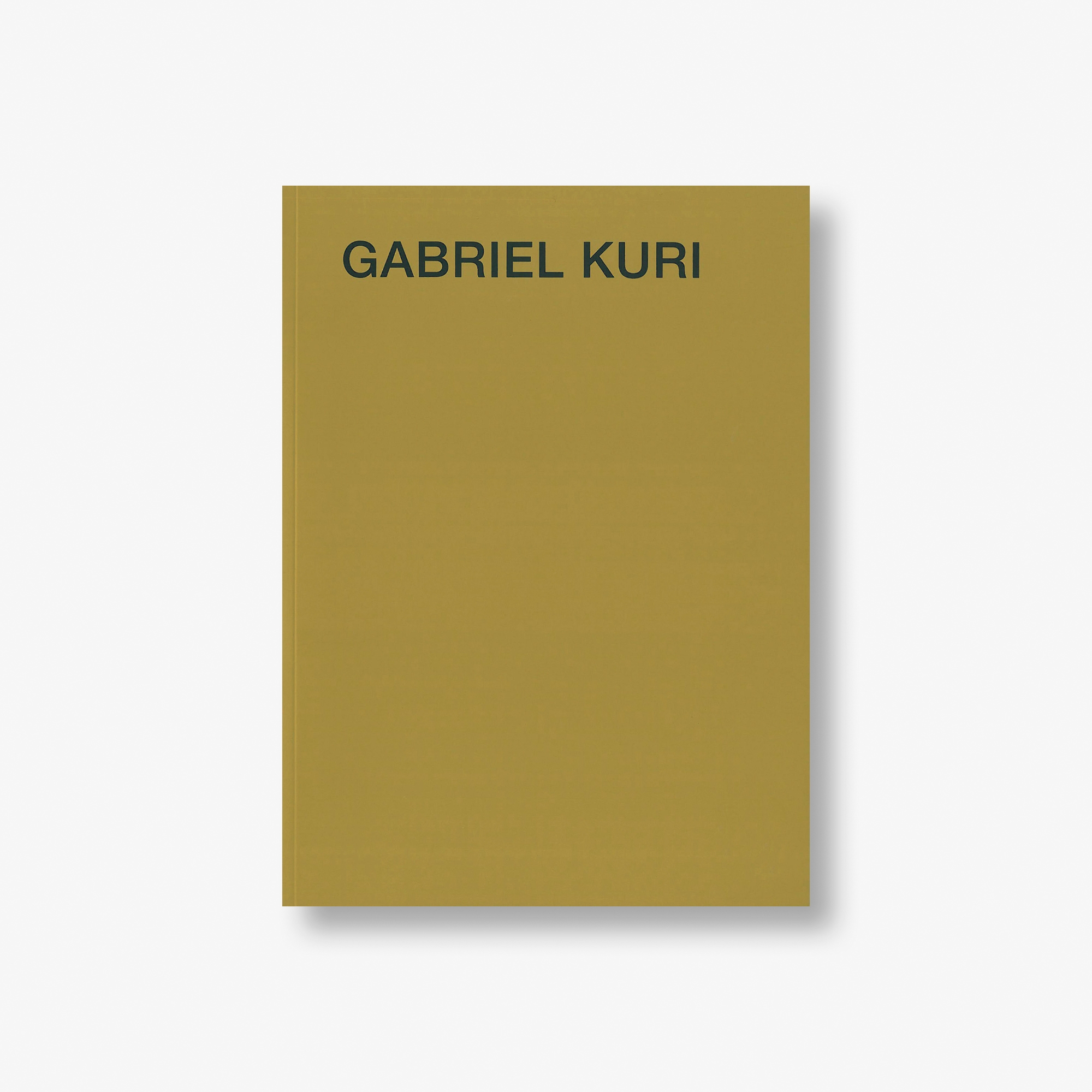 Gabriel Kuri