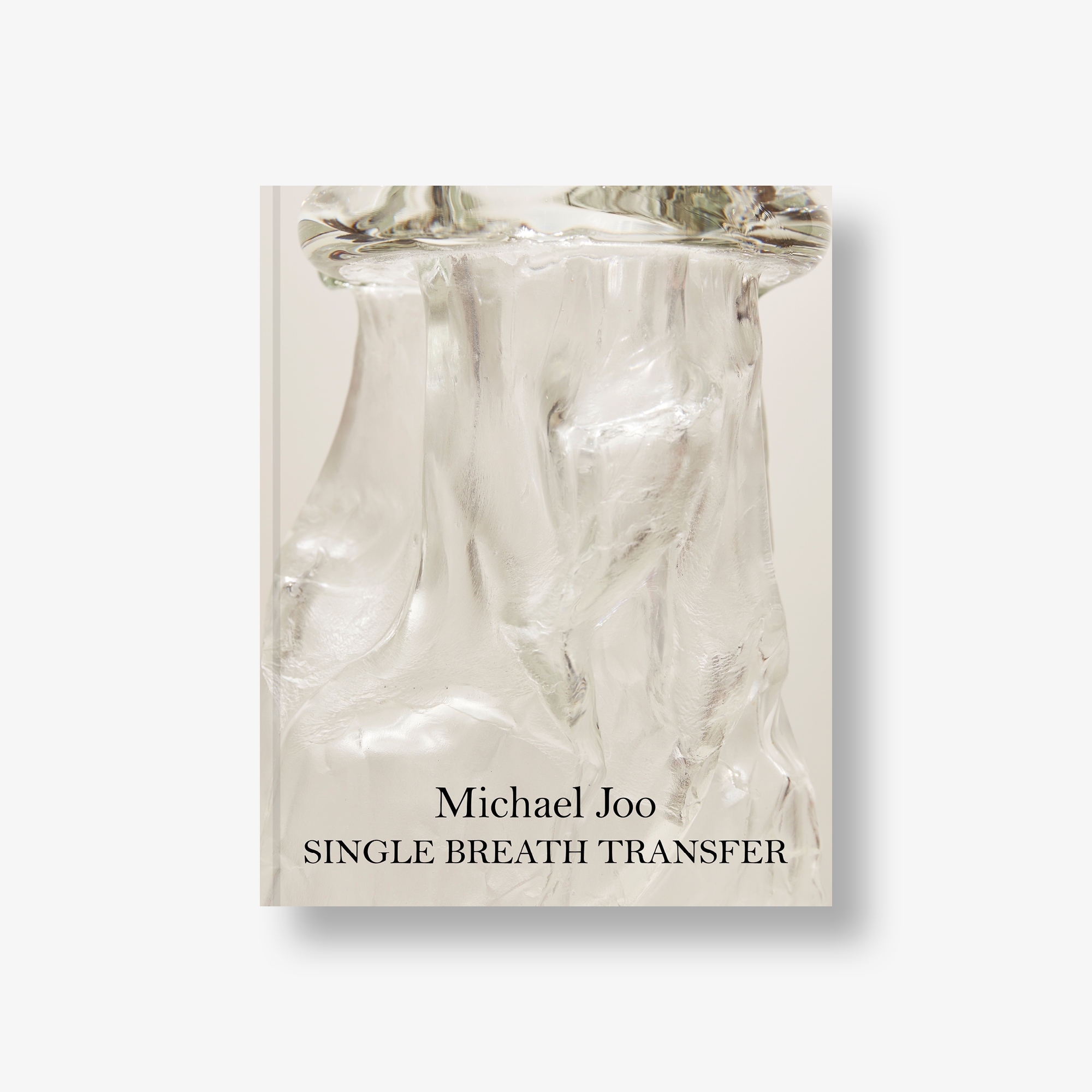 Michael Joo: Single Breath Transfer